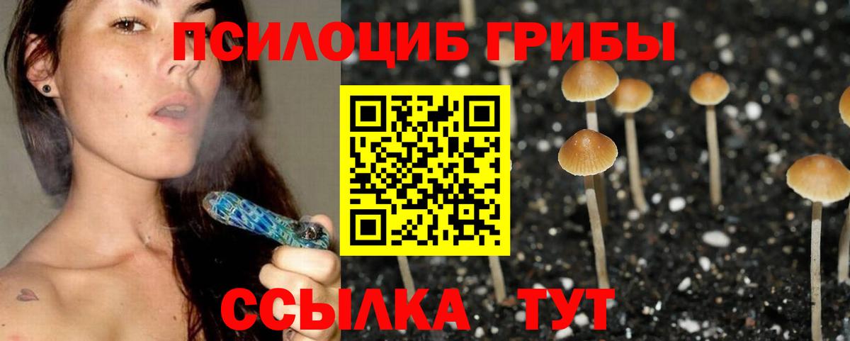 Галлюциногенные грибы GOLDEN TEACHER  Вход с VPN  Находка 
